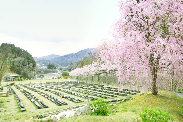 桜下庭園樹木葬