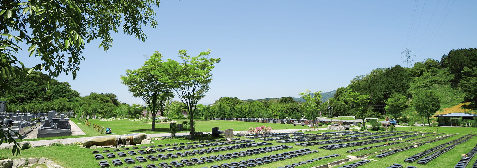 桜下庭園樹木葬